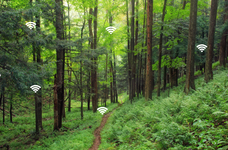 The Emergence of Smart Forestry: Harnessing Technology for Sustainable Forest Management